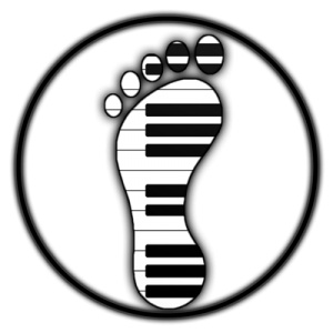 Big Island Tiny Footprint Logo